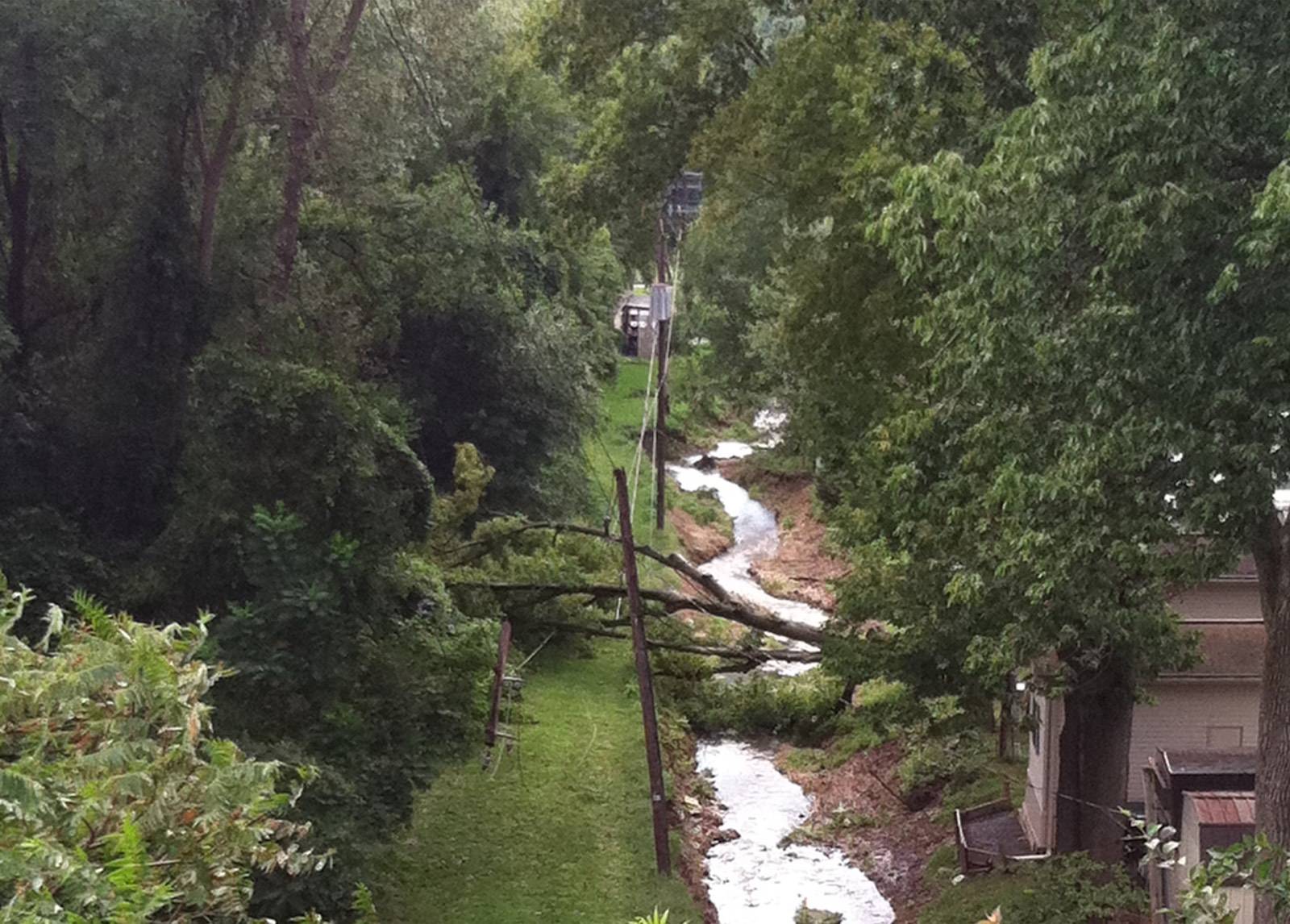 Storm washout along a wooded right-of-way